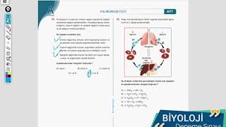 Karacan TV - 10.06.2020 / Biyoloji Deneme Sınavı Soru Çözümü