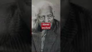 The Breeding Slave with More than 200 Children