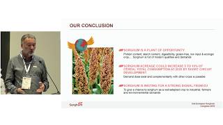 Structural and new outlets to secure sorghum production in Europe. (русский)