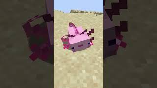 minecraft pt 16  #multiplayer #minecraft #minecraftshorts #minecraftsurvival  #humor #like