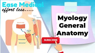 Basics of Myology - General Anatomy Medical videos #Ease Medical #Easemedical..