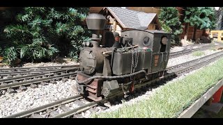 Daily work on my romanian model logging railroad