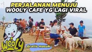 RUTE MENUJU WOOLY CAFE WISATA YG LAGI VIRAL