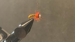 This larva fly is great for catching brook, trout and rainbow