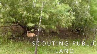 SCOUTING FLORIDA WMA PRE SEASON HUNTING TIPS