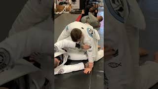 Knee shield to dog fight to limp arm back take #bjj #jiujitsu #backtake #limparm