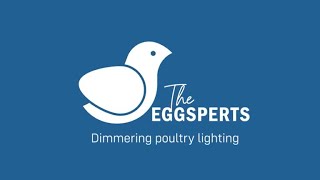 Eggsperience Tecno Poultry Equipment's Lighting System