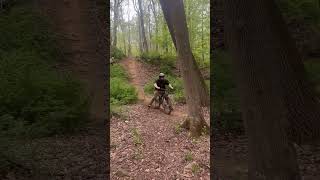 MTB Crash Into A tree 😲