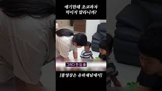 애기한테 초코과자 먹이지 말라니까