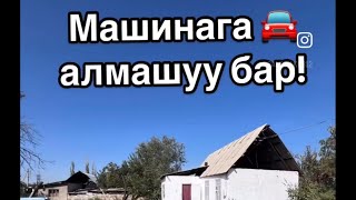 Машинага алмашуу жолдору бар! Ак-Оргодон УЧАСТОК САТЫЛАТ!