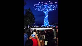 Albero della vita expo 2015