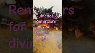 Guidance & Reminders for your divine life path #tarot #lightworker