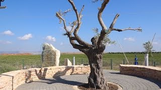 גן הבנים ע"ש סגן פז אליהו שנפל במבצע צוק איתן בעזה.