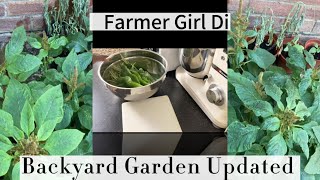 An Update On Farmer Girl Di Garden | We Steamed Callaloo With Fried Dumplings