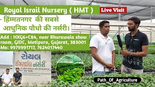 Royal Israil Nursery Himmatnagar | एक साल में 4 से 5 करोड़ के पौधे की बिक्री | Smart & Big Nursery |