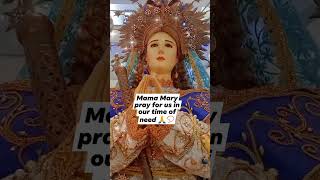 Mama Mary pray for us in our time of need #mamamary #motherofgod #god #jesus #fy #viralvideo #shorts