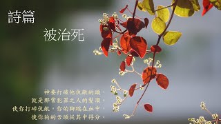 靈修:詩篇-被治死 20241110