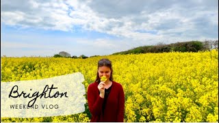 On the road to BRIGHTON | UNITED KINGDOM | 12 Month Travel (VLOG Ep. 22)