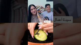 حلقة سيده اعمال .. شباب البومب.. العمه حصه ❤️ #شباب_البومب #trendingshorts #viralshort #tiktoktrend