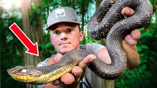 Hunting For Huge SNAKES in Wisconsin!