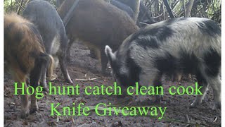 HOG HUNTING IN FLORIDA. CATCH, CLEAN, COOK, AND KNIFE GIVEAWAY