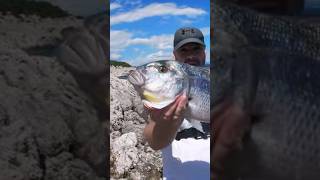 Voukelatos Fishing Experiences