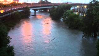 Toronto July Flood Footage Leslieville