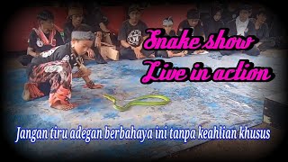 Atraksi Ular Pps live in action #jangan tiru adegan berbahaya ini