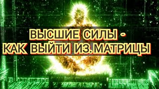 🌿Дополнение🌿ВЫСШИЕ СИЛЫ О МАТРИЧНЫХ КОДАХ🕊️#посланиевысшихсил#трансформация#Проводник#любовь#матрица