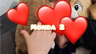 monada y mateo adoptan un perro 🐕monada 2 adoptemos un 🐕🐶