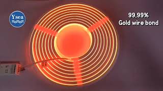 99.99% Golden Wire Bond Marine Grade Flexible Neon Light