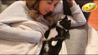 Cute Cat🐈 Show Love 😻 Cat and Human Moments