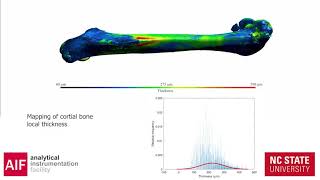 XRM at AIF - Bones