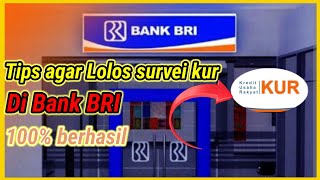 tips agar Lolos survei kur BRI 2023@bubink80family