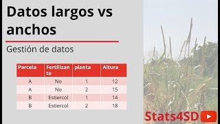 Datos largos vs anchos