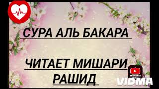 Конец суры «Аль- Бакара» – лекарство от всех болезней, если даст Бог