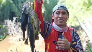 MANCING KAKAP PUTIH DI PINTU TAMBAK BERLUMUT