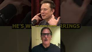 Rogan And Elon Roasting Mark Cuban