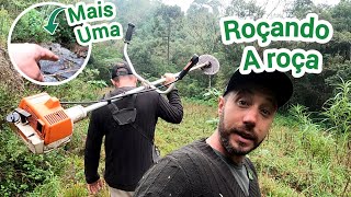 DIA DE ROÇADA/ROÇANDO A BEIRA DA ROÇA/MOSTRANDO MAIS UMA CACHOEIRA