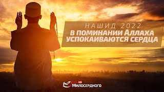 Нашид 2022: В поминании Аллаха успокаиваются сердца