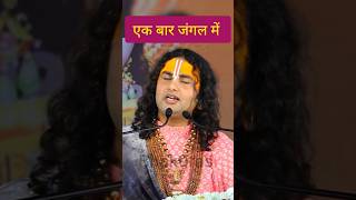 अनिरुद्धाचार्य जी ने बताई जंगल की बात Aniruddhacharya ji Maharaj #shorts #status #anirudh