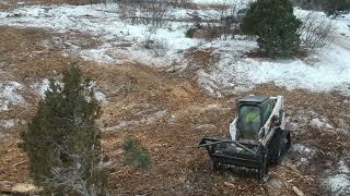 Bobcat t770 with FAE forestry cutter