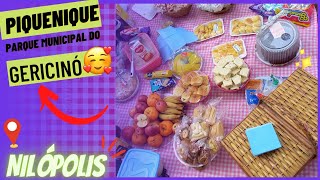 VLOG PIQUENIQUE no Parque Natural Municipal do Gericinó em Nilópolis RJ  @Juhlilas