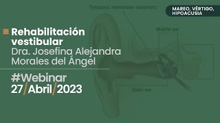 Webinar “Rehabilitación vestibular”.