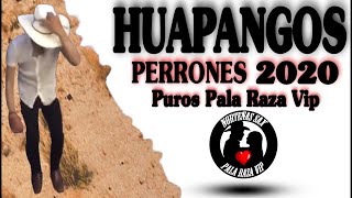 Huapangos Perrones 2021   Norteñas Sax Pala Raza Vip