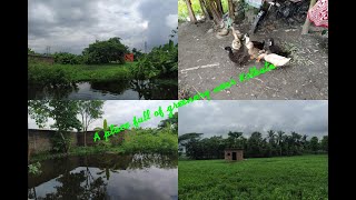 A day in my life|Place full of green in Kolkata|Exploring places in Kolkata.