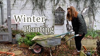 Winter planting in the cottage garden 🌷🌼