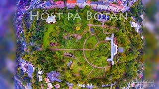 Fall to Winter Timelapse over Lunds Botanical Gardens