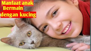 Manfaat anak bermain dengan kucing