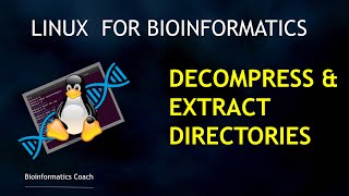 Linux for Beginners in Bioinformatics | How to extract and decompress files (unzip & tar xvfz)